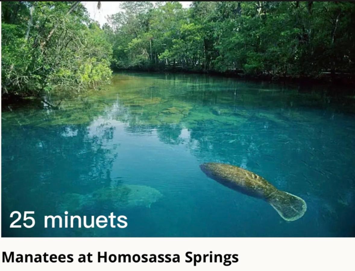 Bonne Nuit Weeki Wachee Villa Dış mekan fotoğraf